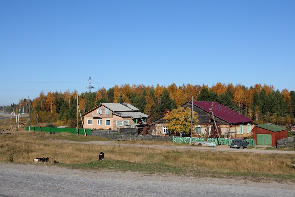 Каргасок