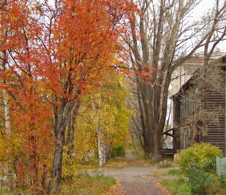 Kolpashevo