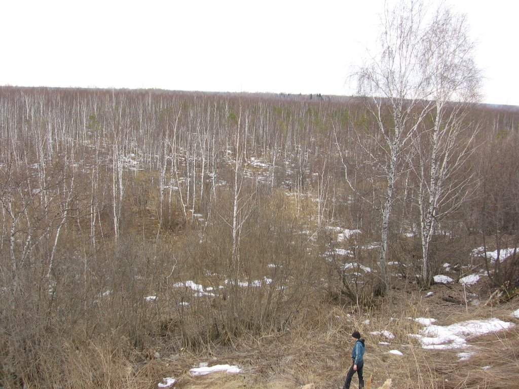 Mel’nikovo