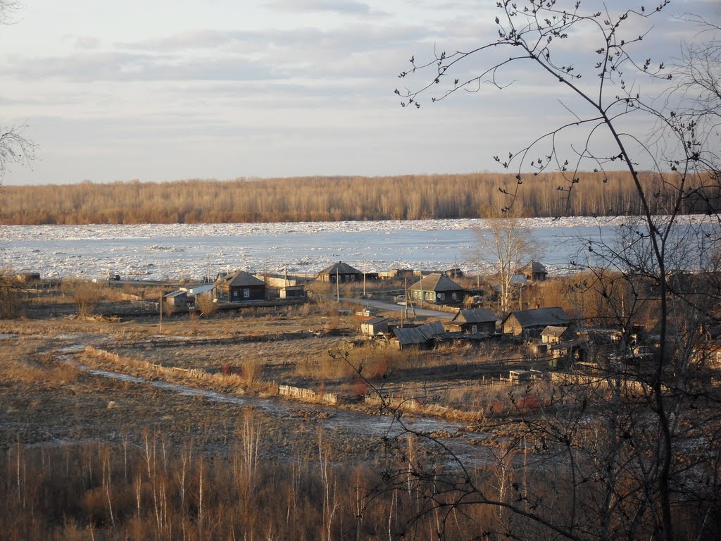 Ледоход 2010.