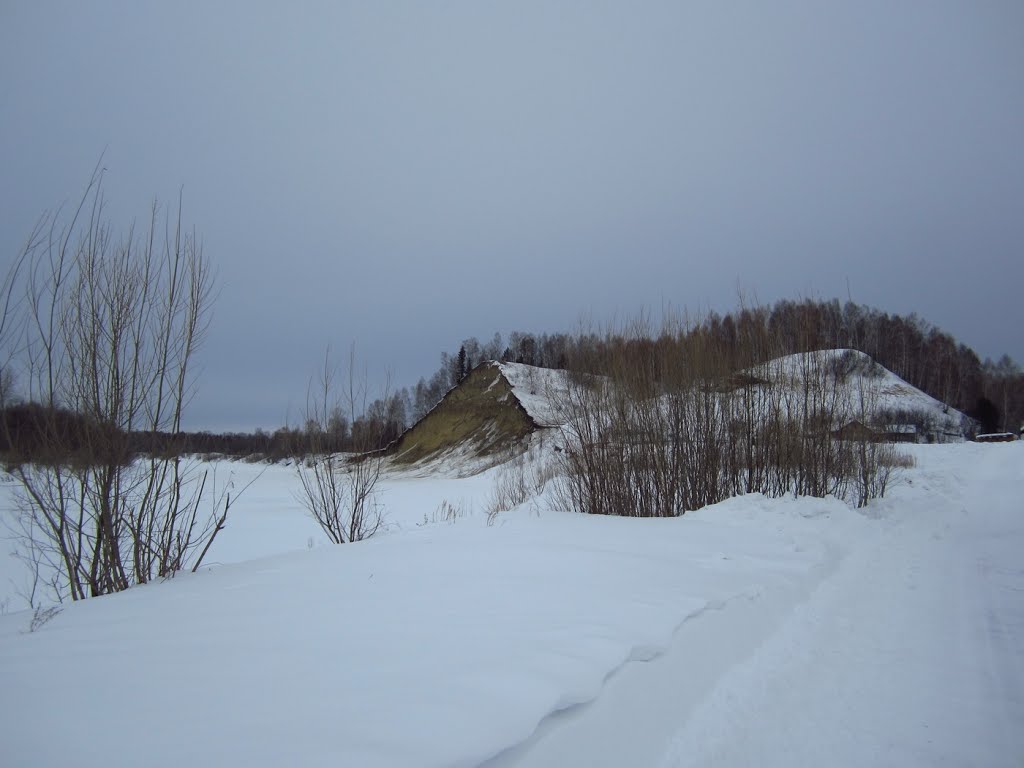 Кулайка зимой