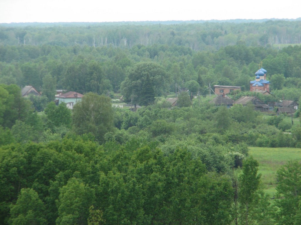 Вид на пос. Черёмушки с Кулайки 26-06-2009
