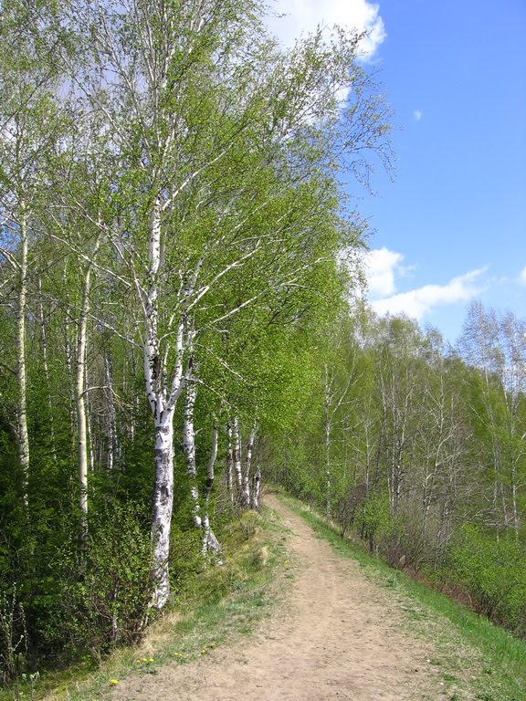 На Кулайке