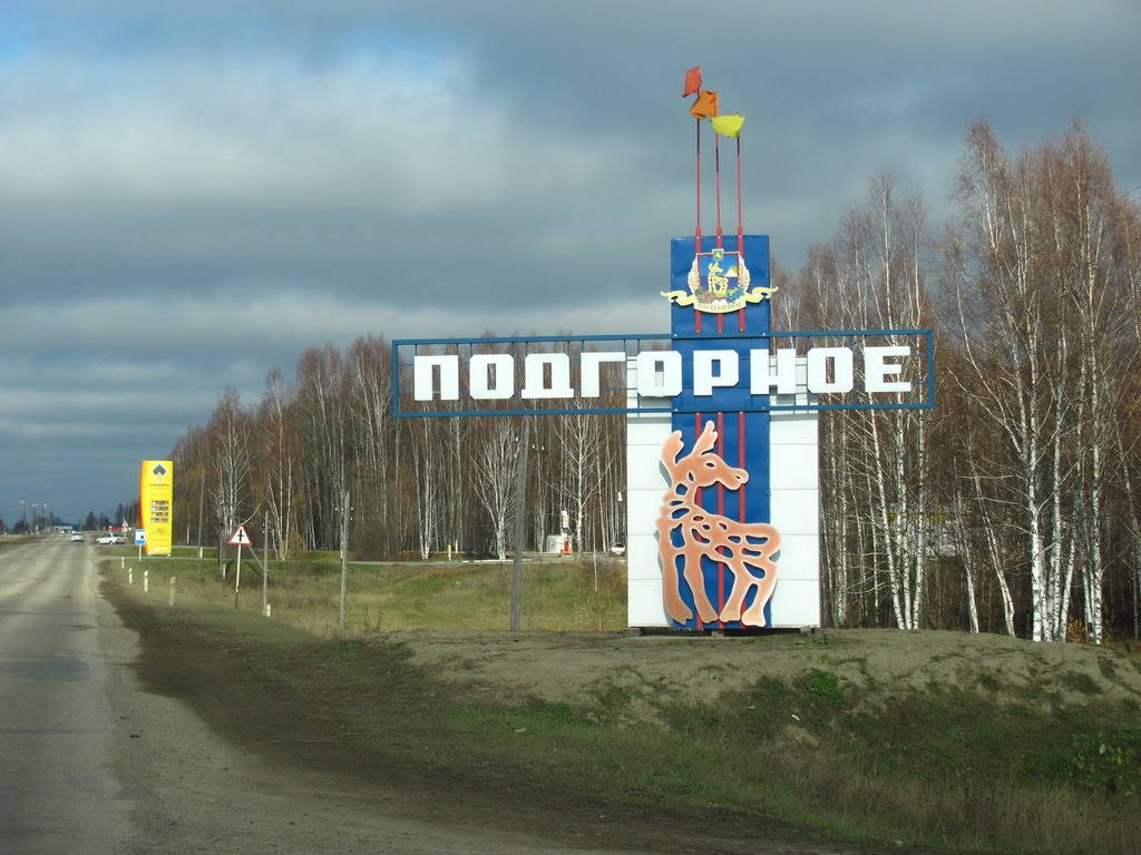Подгорное