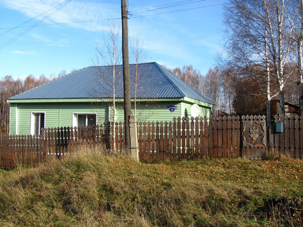 Лесная, 35