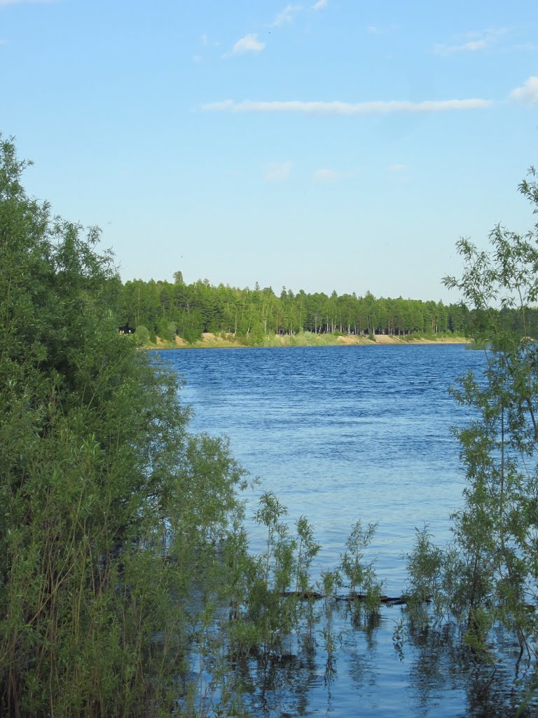 Пасал