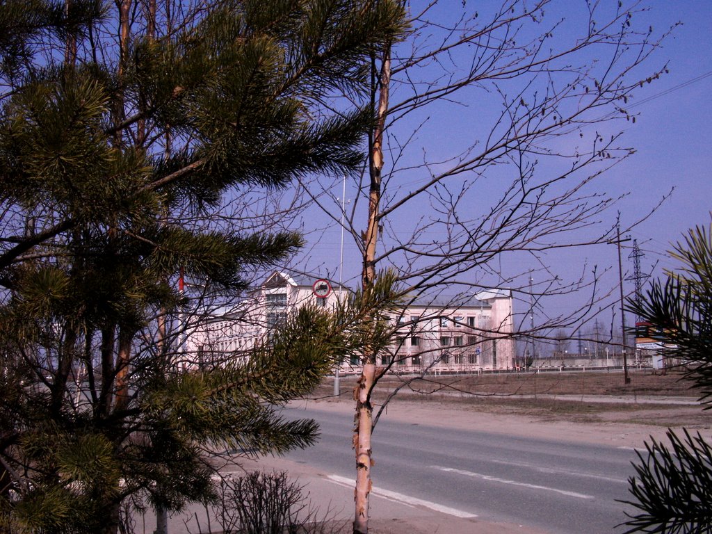 ВНГДУ