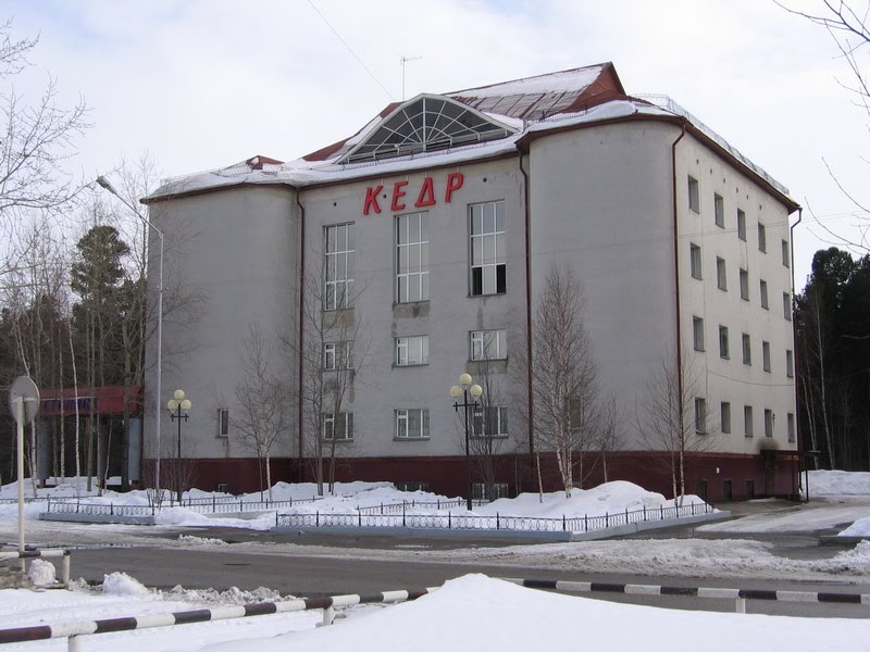 Кедр