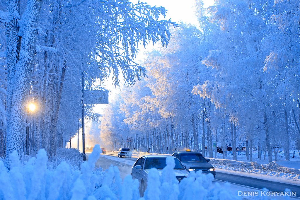 Fabulous winter
