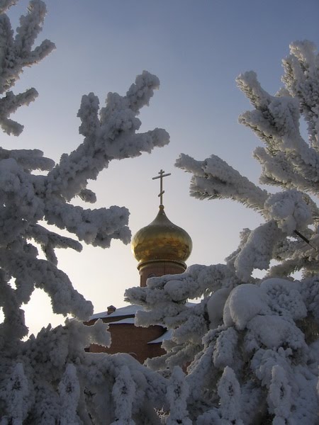Купол