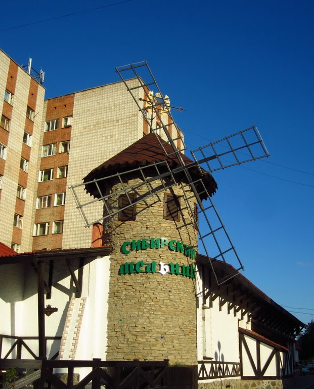 Сибирский мельник