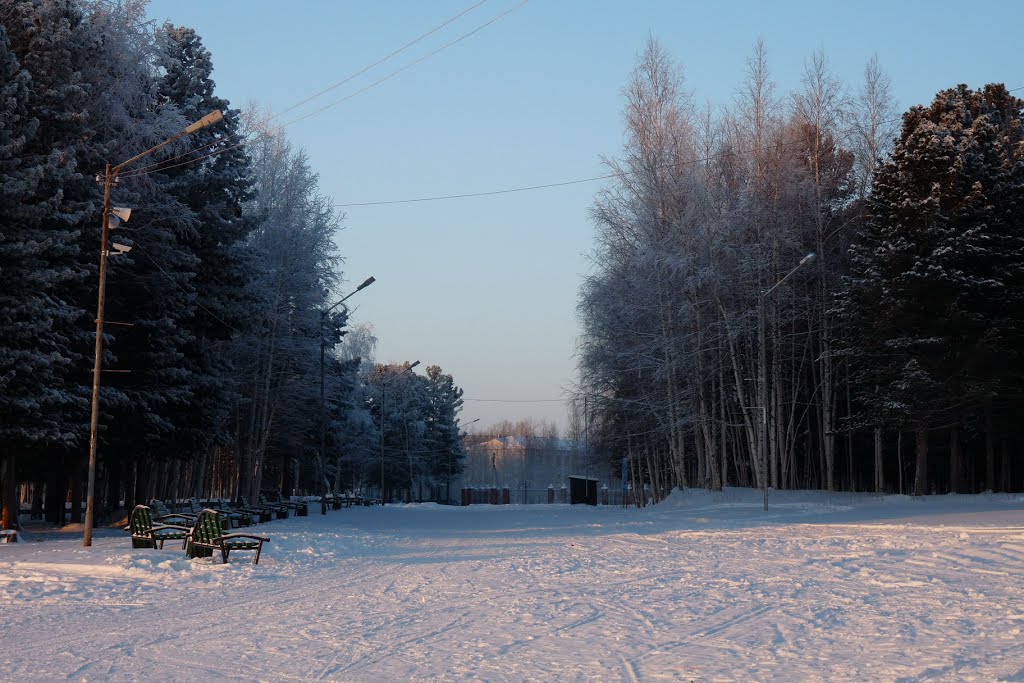Городской парк
