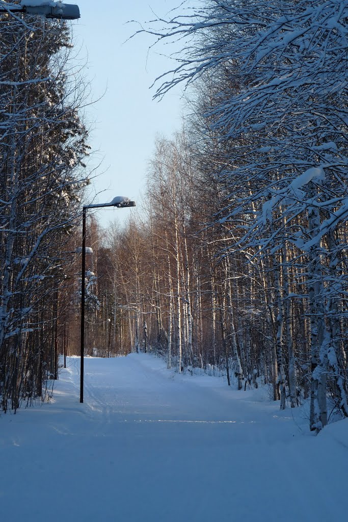 Дорожка в парке
