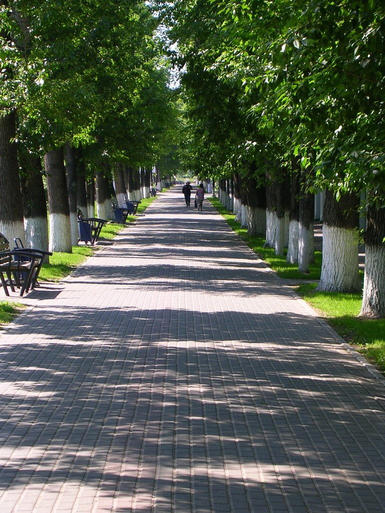 [Russia, Tomsk, Lenina str., Ostanovka "University"]