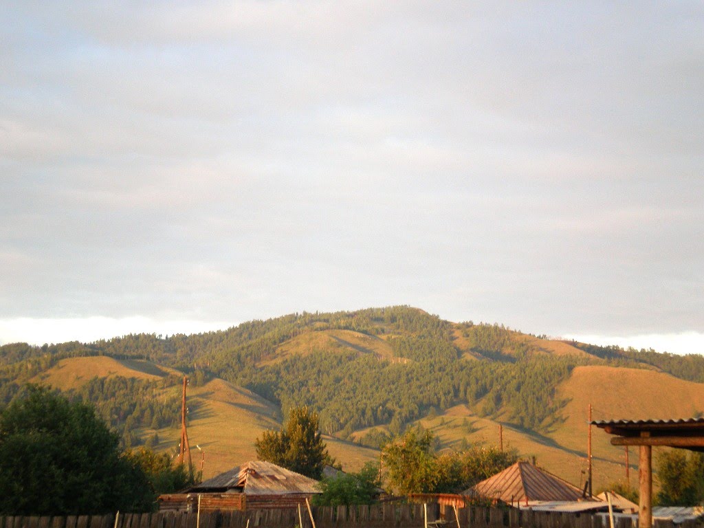Toka