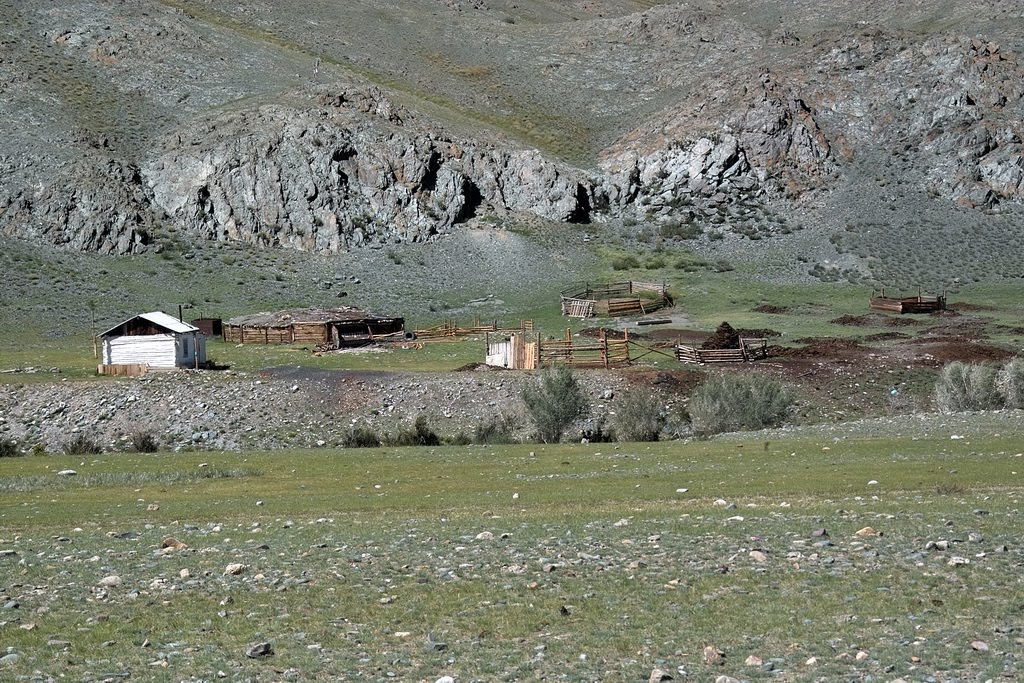 кошара на левом берегу