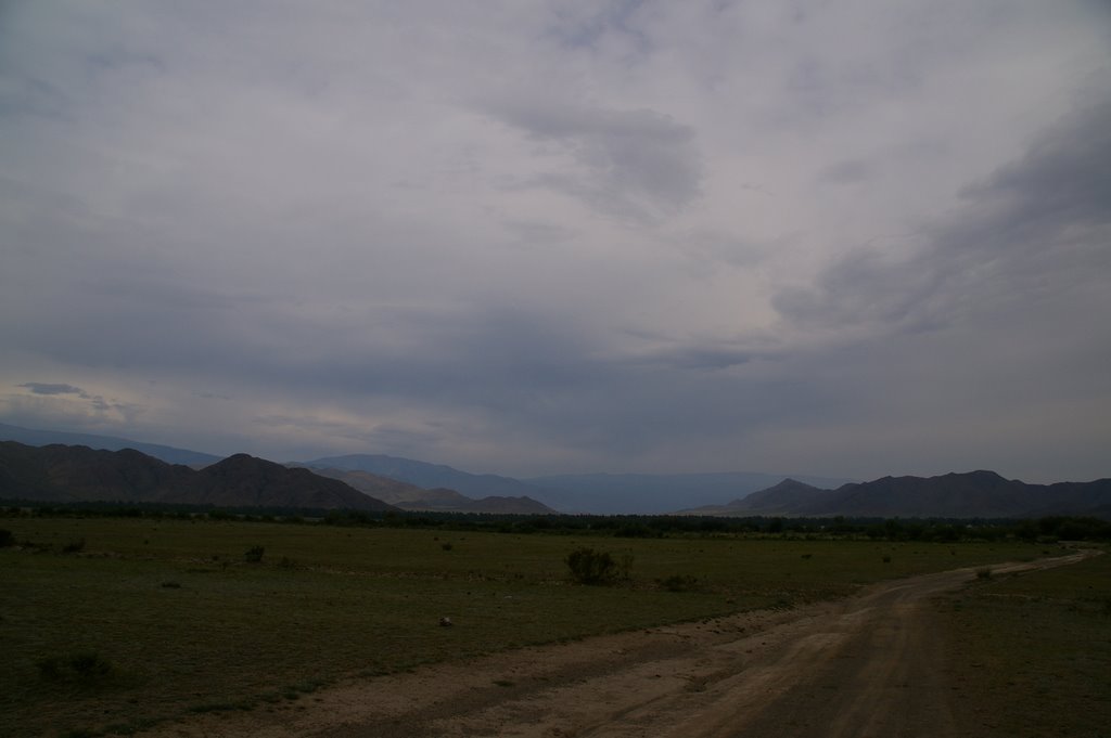 Teeli