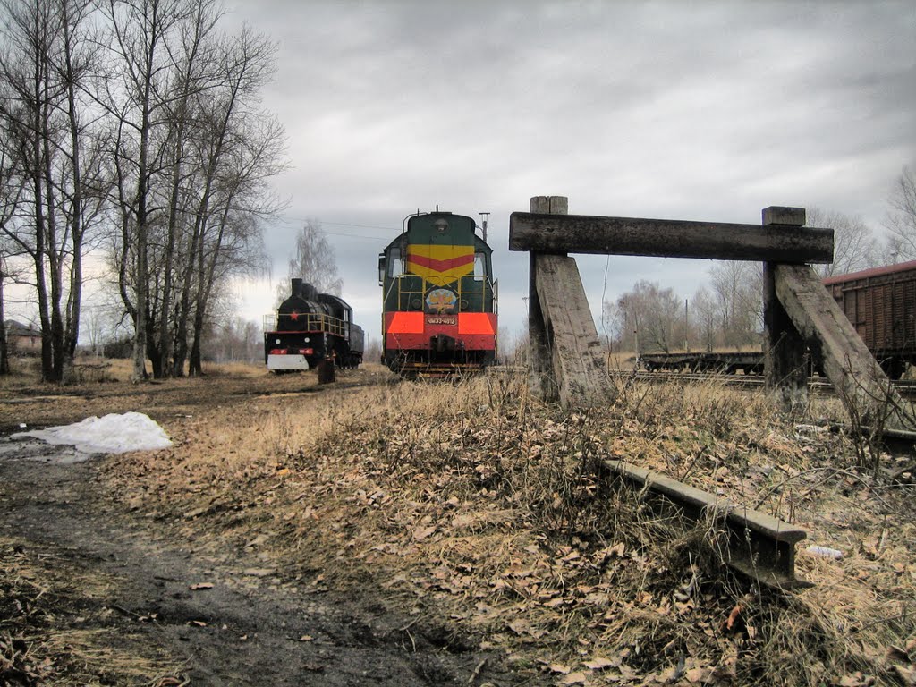 Эволюция