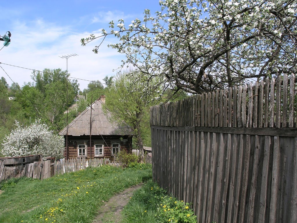 Белев Над овражком