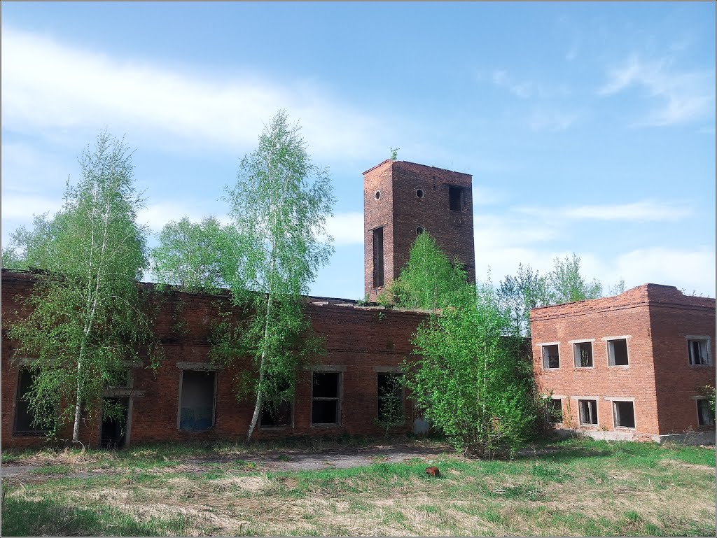 за чертой