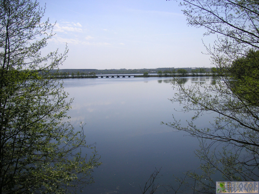Тульская обл., Агеево, Черепетское вдхр.