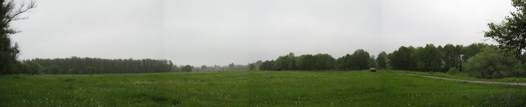 Поле за белкиным мостом