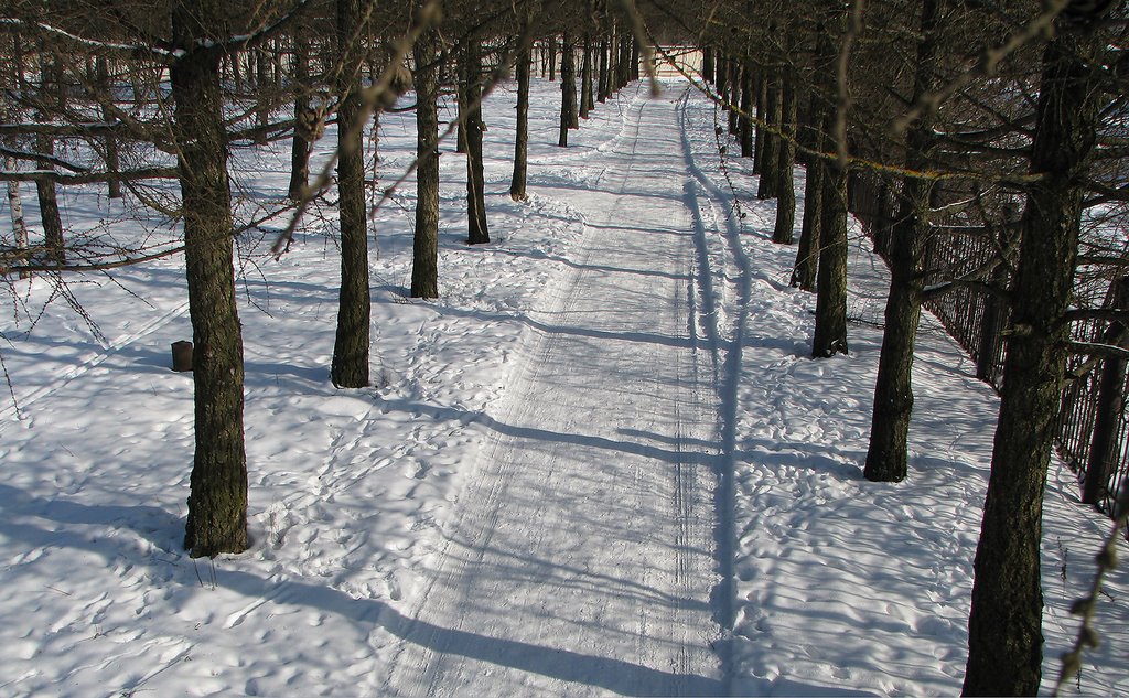 В парке (соцгород)