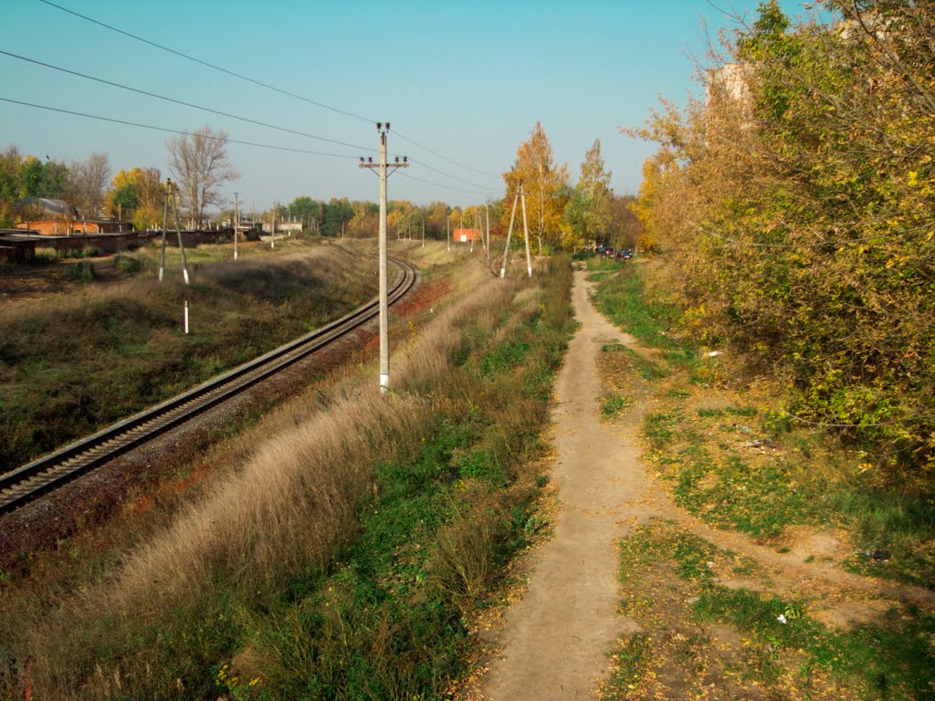 Early autumn and railroad (08.10.2011)