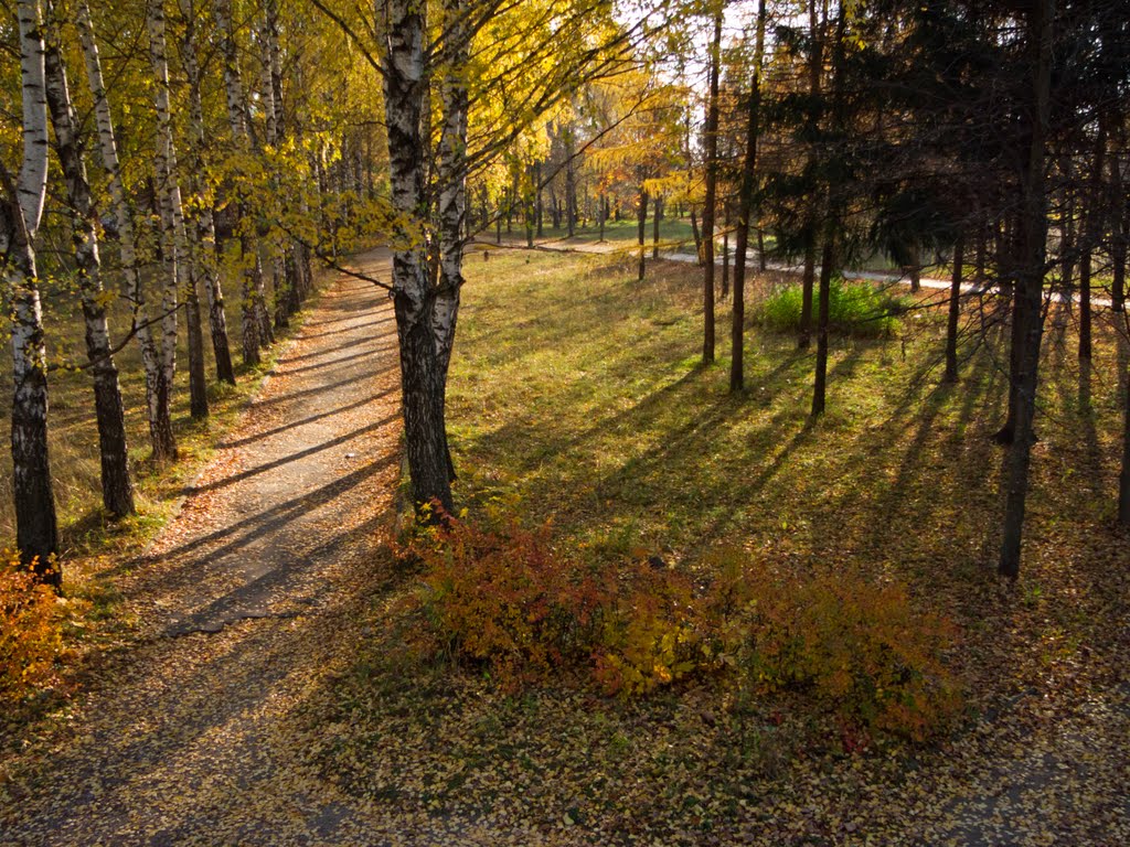 Early autumn in the park (08.10.2011)
