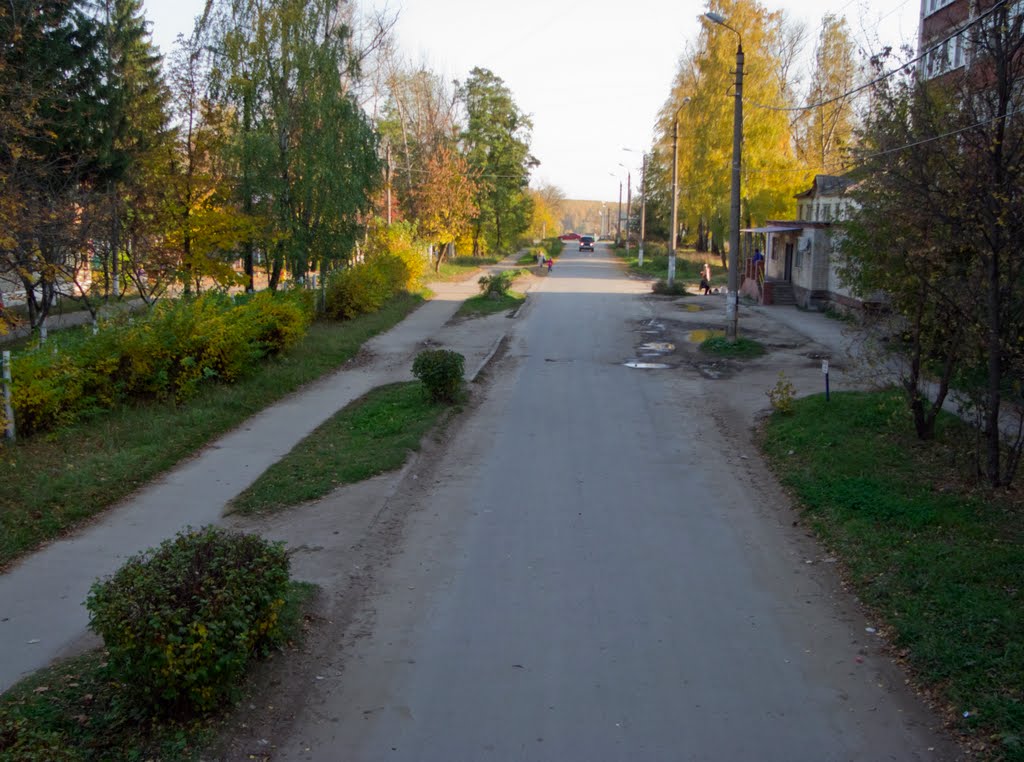 Oktyabrskaya street (08.10.2011)