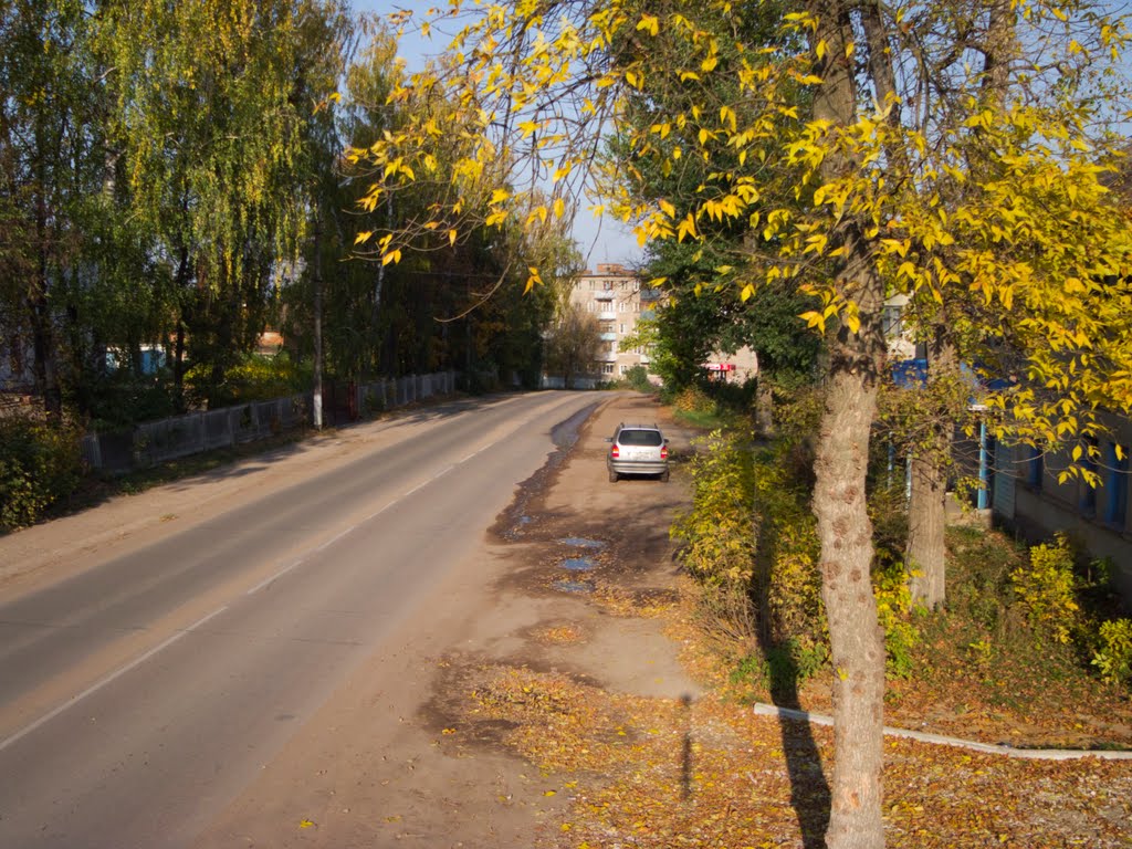 Pionerskaya street (08.10.2011)