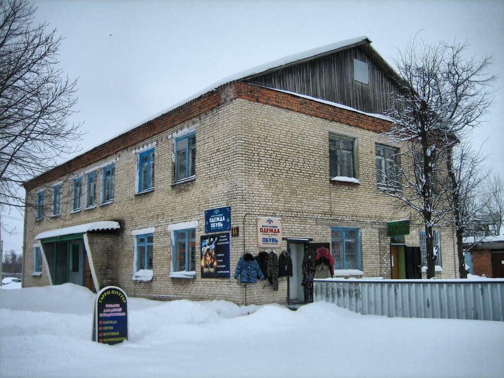 Райпо и плакат с Гарри