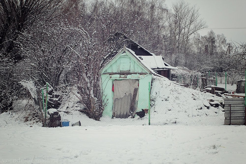 Погребок