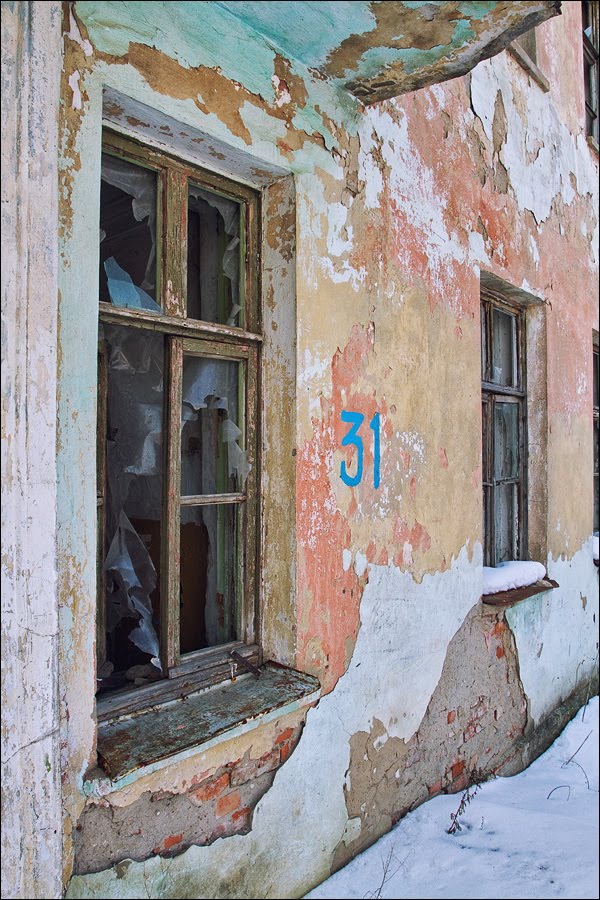 Окна дома № 31