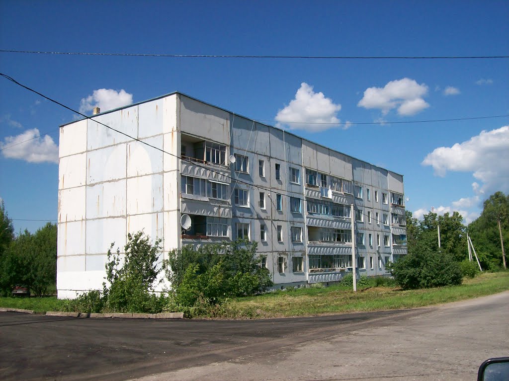 Арсеньево. Крайний дом
