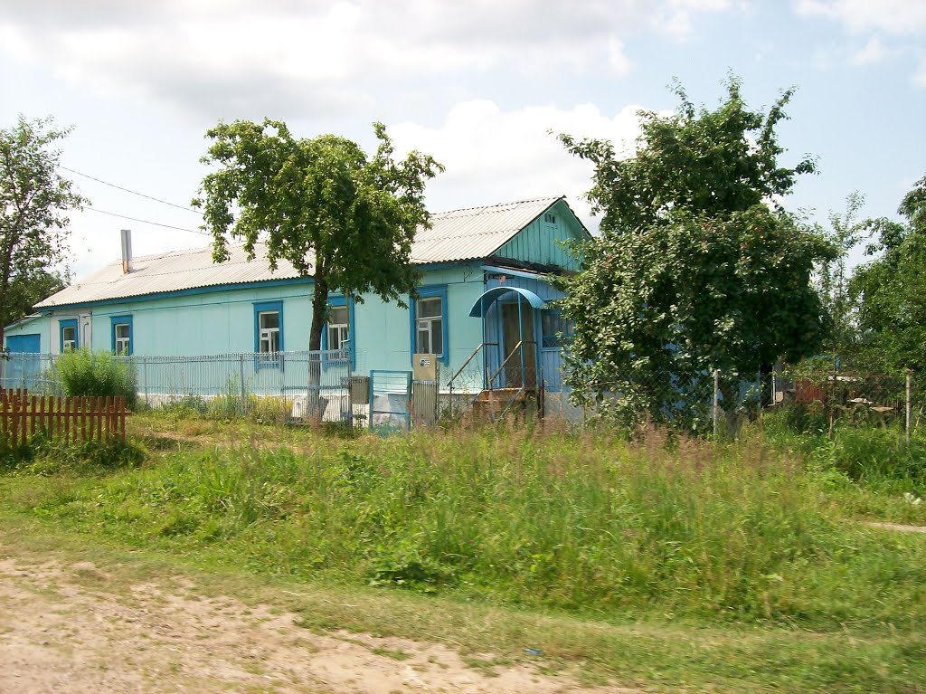 Арсеньево. Улица Папанина
