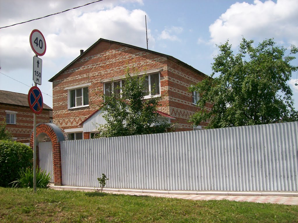 Арсеньево. Улица Папанина