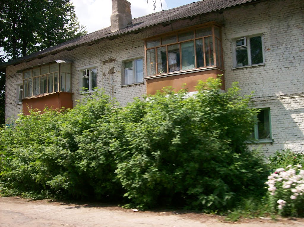 Арсеньево. Улица Папанина