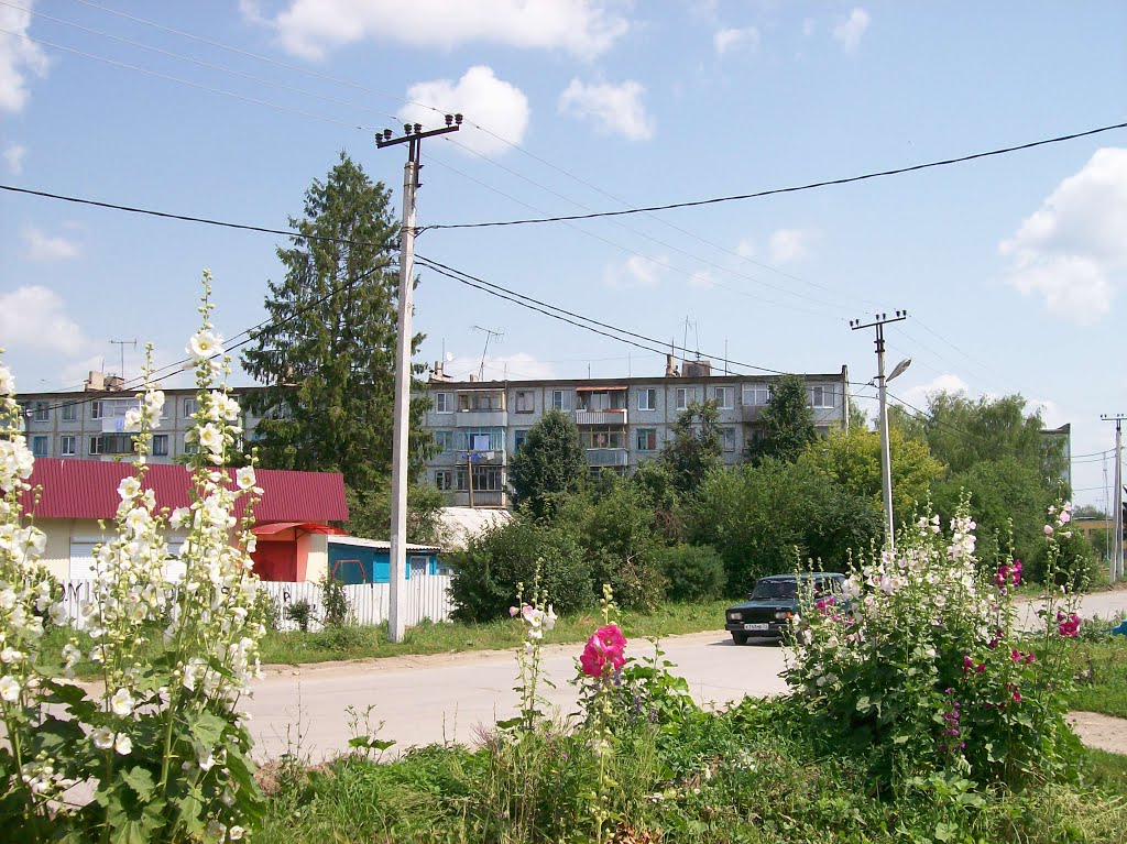 Арсеньево. Улица Парфёнова