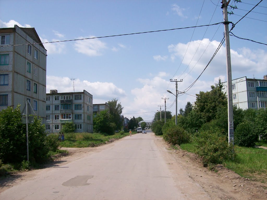 Арсеньево. Parfey street