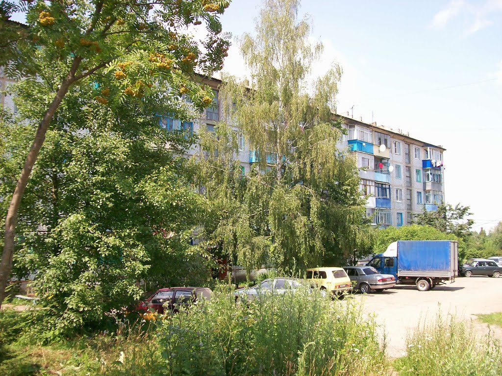 Арсеньево. Двор на улице Парфёнова