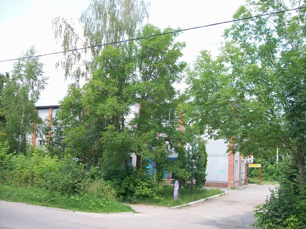 Арсеньево. На улице Бандикова