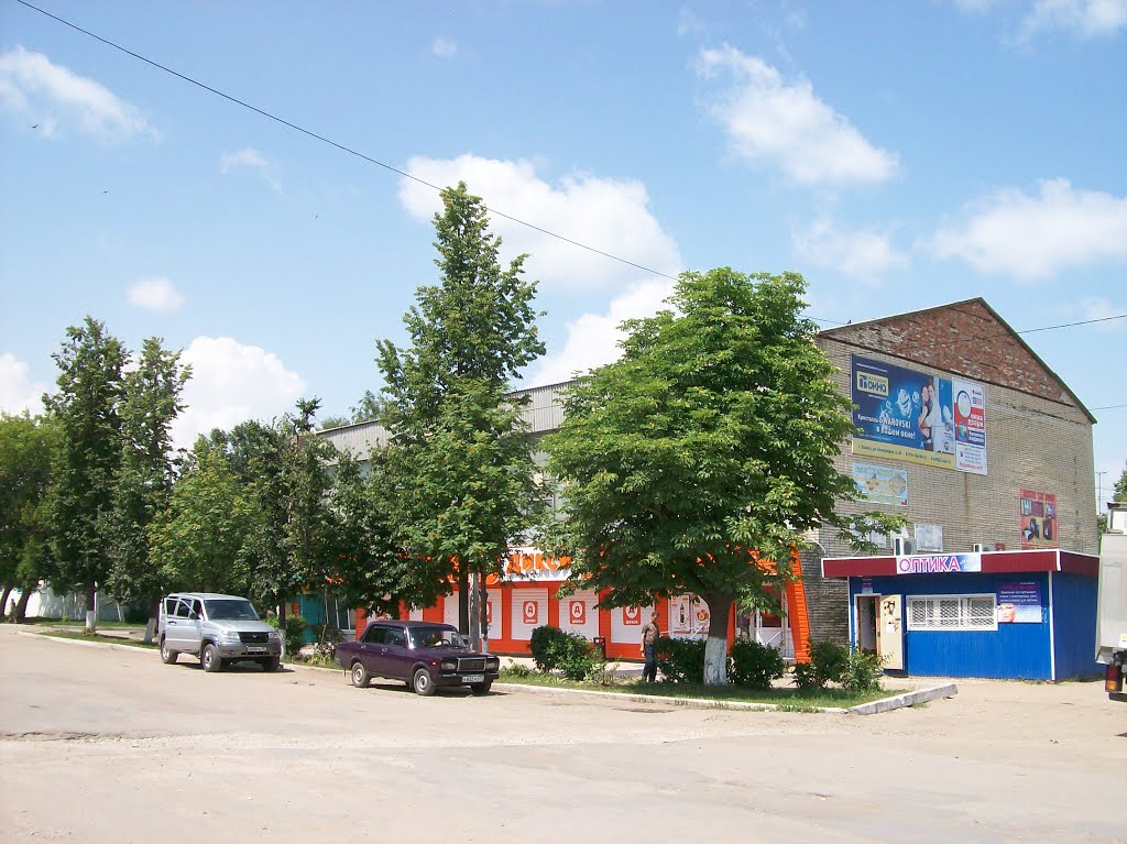 Арсеньево. На улице Бандикова