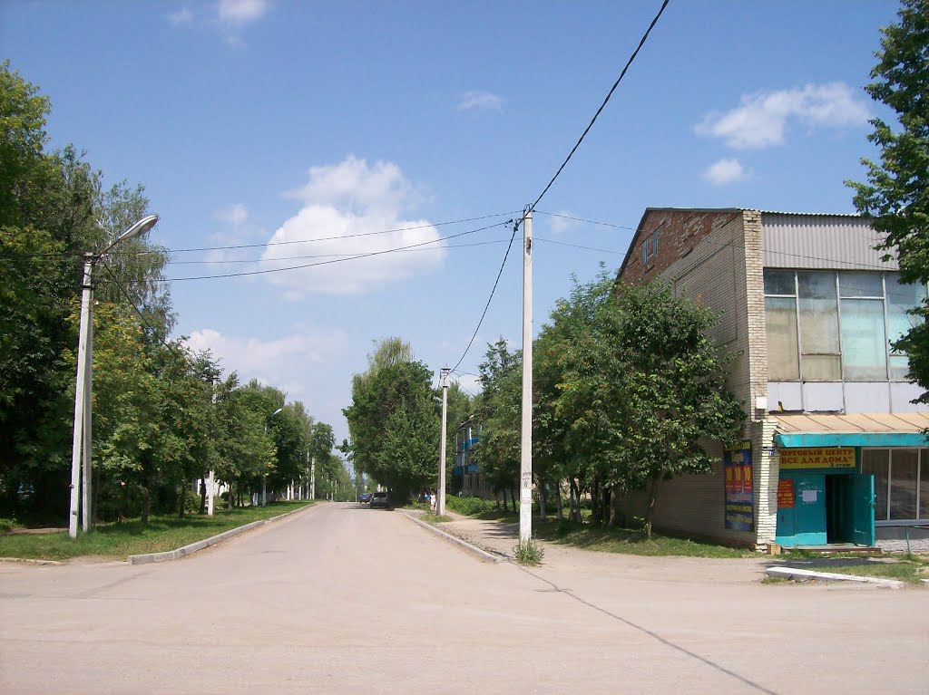 Арсеньево. Улица Советская