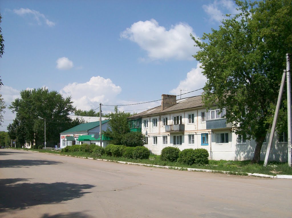 Арсеньево. Bandy street