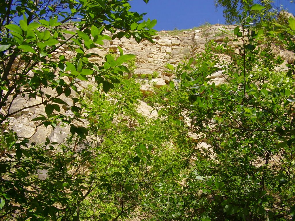 Солнечные склоны, пос. Барсуки