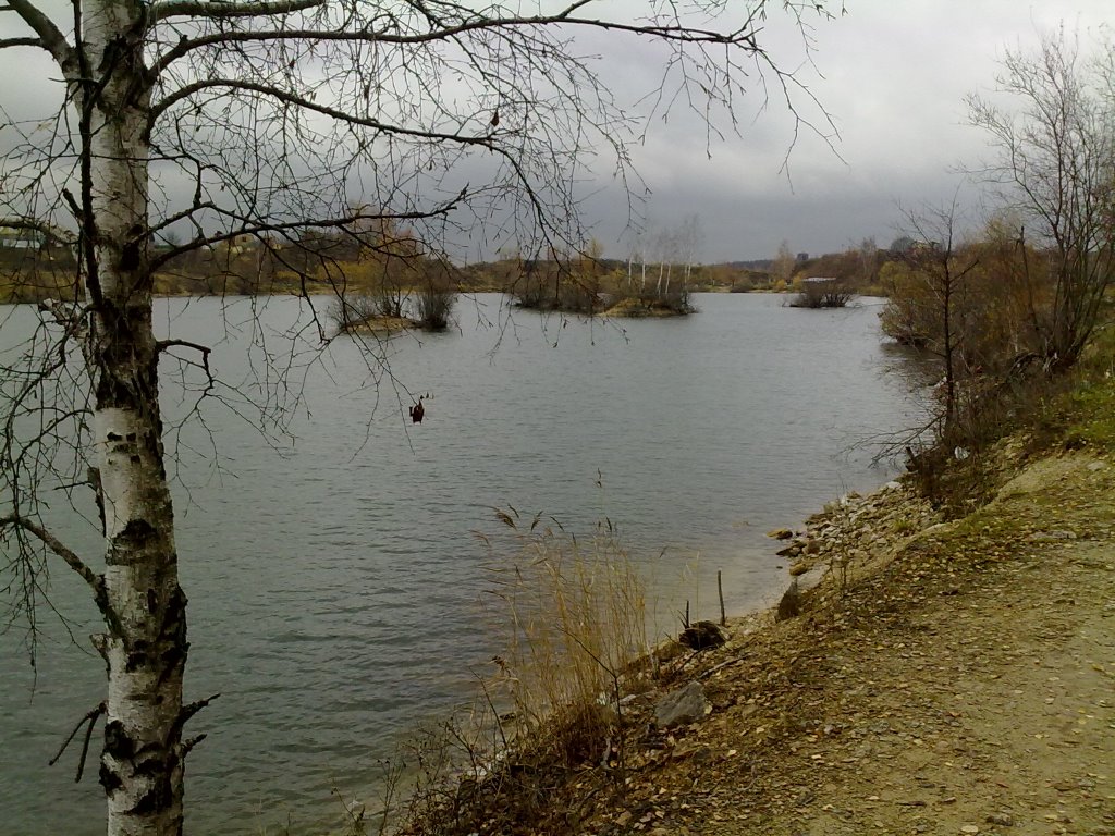 Барсуки.Осень