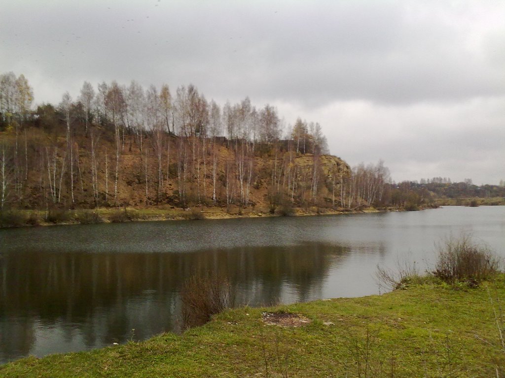 Барсуки.Осень