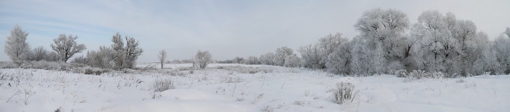 Ямны. Пойма реки Упы
