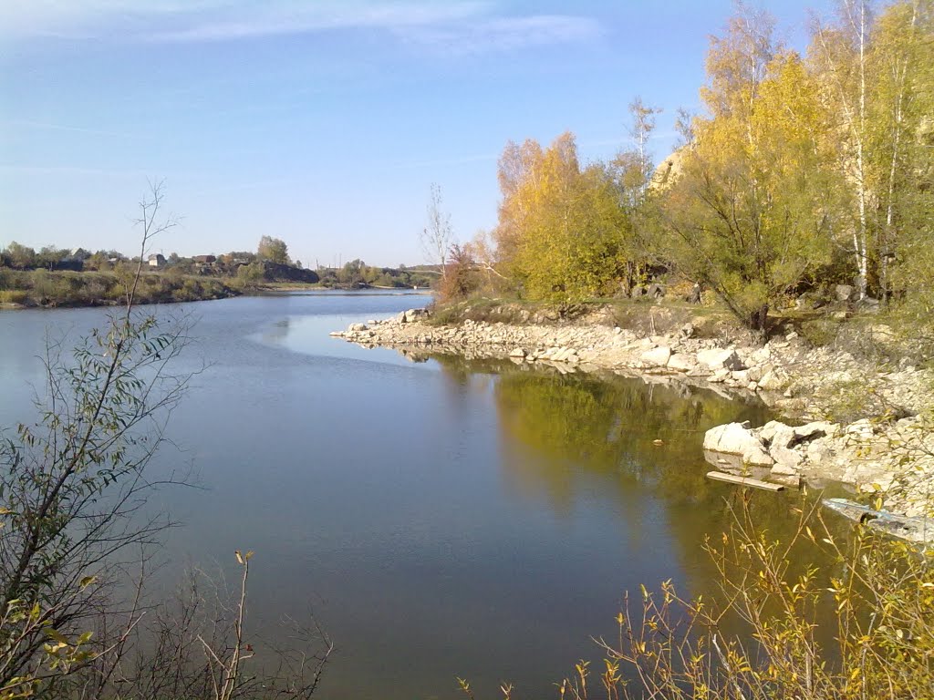 Барсуки, осень 2010